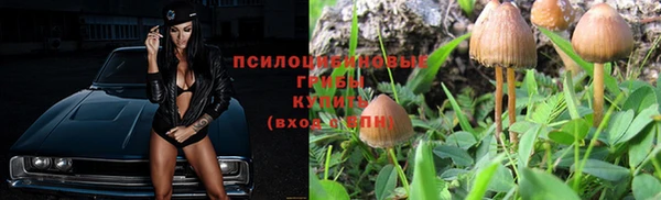 молекула духа Богородицк