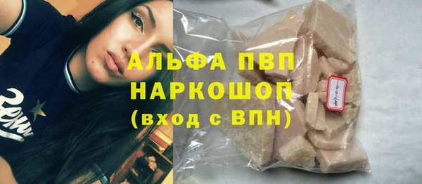 молекула духа Богородицк