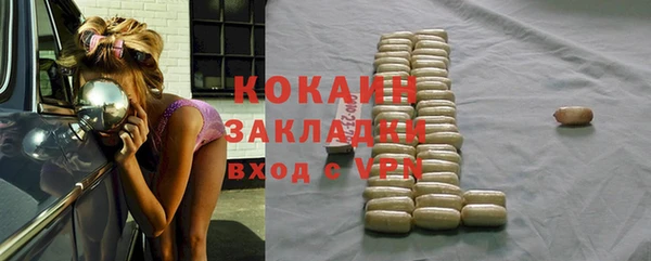 стаф Богданович