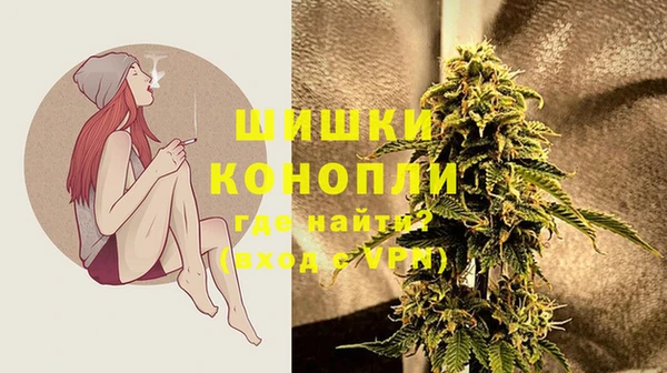 молекула духа Богородицк