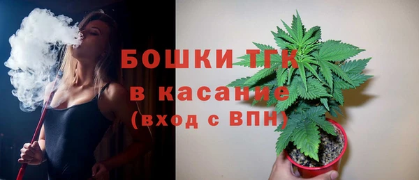 молекула духа Богородицк