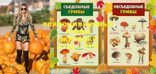 гидропоника Богородск