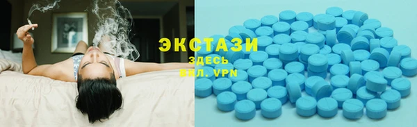 стаф Богданович