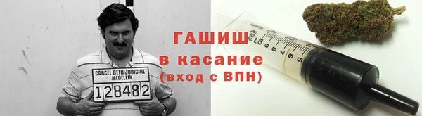 молекула духа Богородицк