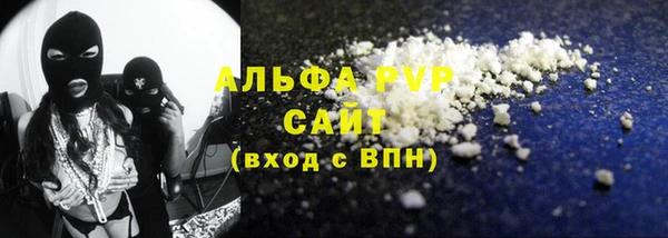 молекула духа Богородицк