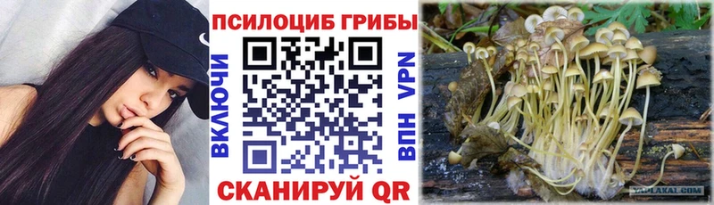 продажа наркотиков mega рабочий сайт Псилоцибиновые грибы ЛСД Красавино
